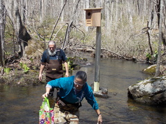 Image file: photo12.jpg