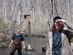 Image file: photo17.jpg