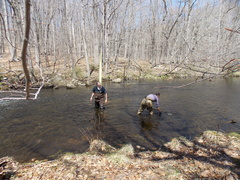 Image file: photo20.jpg