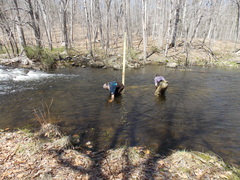 Image file: photo21.jpg