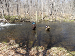 Image file: photo22.jpg