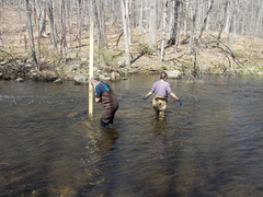 Image file: photo23.jpg