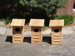 Image file: photo01.jpg