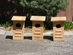 Image file: photo02.jpg