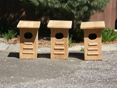 Image file: photo03.jpg