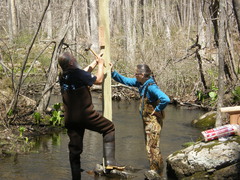 Image file: photo05.jpg