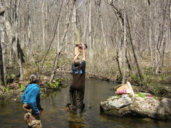 Image file: photo09.jpg