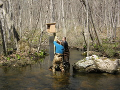 Image file: photo12.jpg