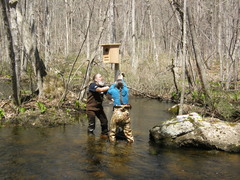 Image file: photo13.jpg