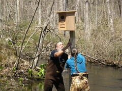 Image file: photo15.jpg