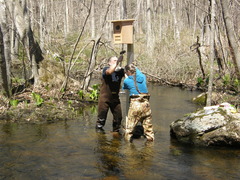 Image file: photo16.jpg