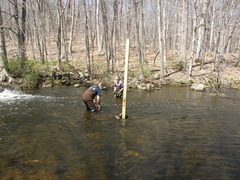 Image file: photo23.jpg