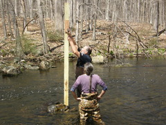 Image file: photo28.jpg