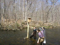 Image file: photo32.jpg