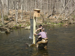 Image file: photo35.jpg