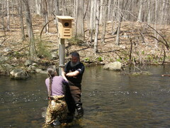 Image file: photo36.jpg