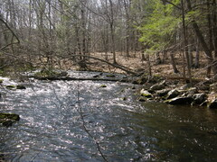 Image file: photo49.jpg