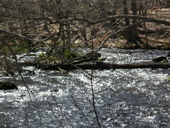 Image file: photo50.jpg