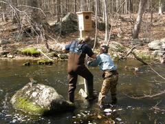 Image file: photo53.jpg