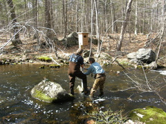 Image file: photo54.jpg