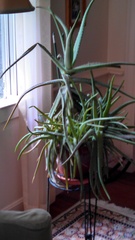 Image file: photo03.jpg