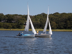 Image file: photo37.jpg