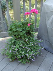 Image file: photo01.jpg