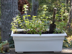 Image file: photo02.jpg