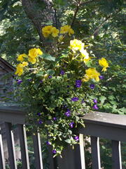 Image file: photo03.jpg