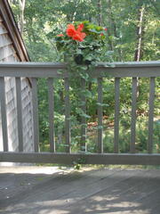 Image file: photo05.jpg