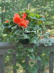 Image file: photo06.jpg