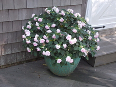 Image file: photo07.jpg