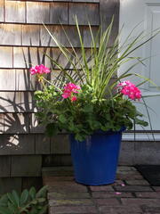 Image file: photo20.jpg