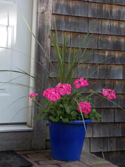 Image file: photo21.jpg