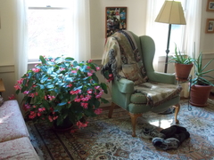 Image file: photo01.jpg