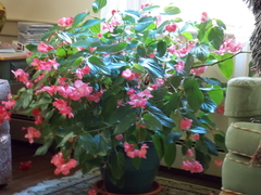 Image file: photo03.jpg