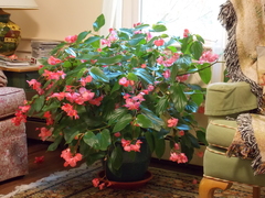 Image file: photo05.jpg