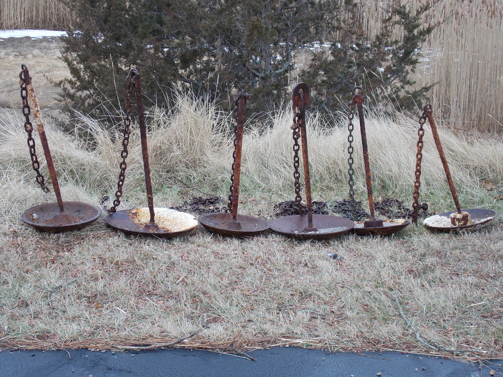 No description provided for: /2014/0215-oyc-bad-mushrooms/photo01.html