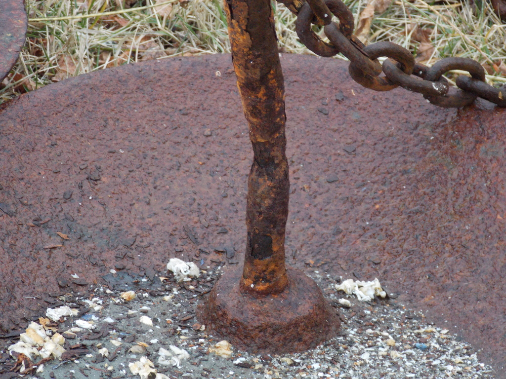 No description provided for: /2014/0215-oyc-bad-mushrooms/photo04.html