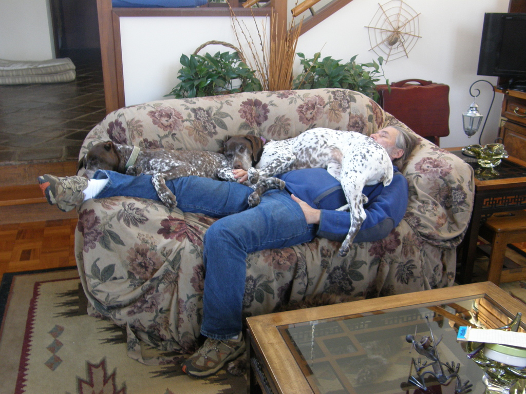 No description provided for: /2014/0416-nap-with-dogs/photo02.html