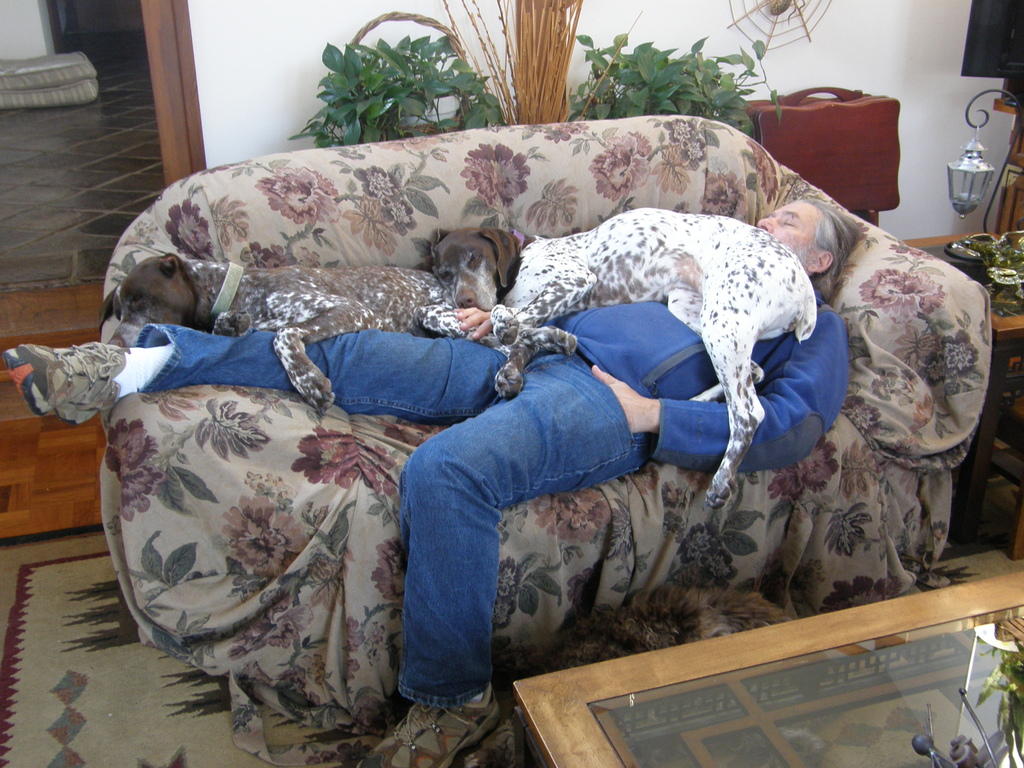 No description provided for: /2014/0416-nap-with-dogs/photo03.html