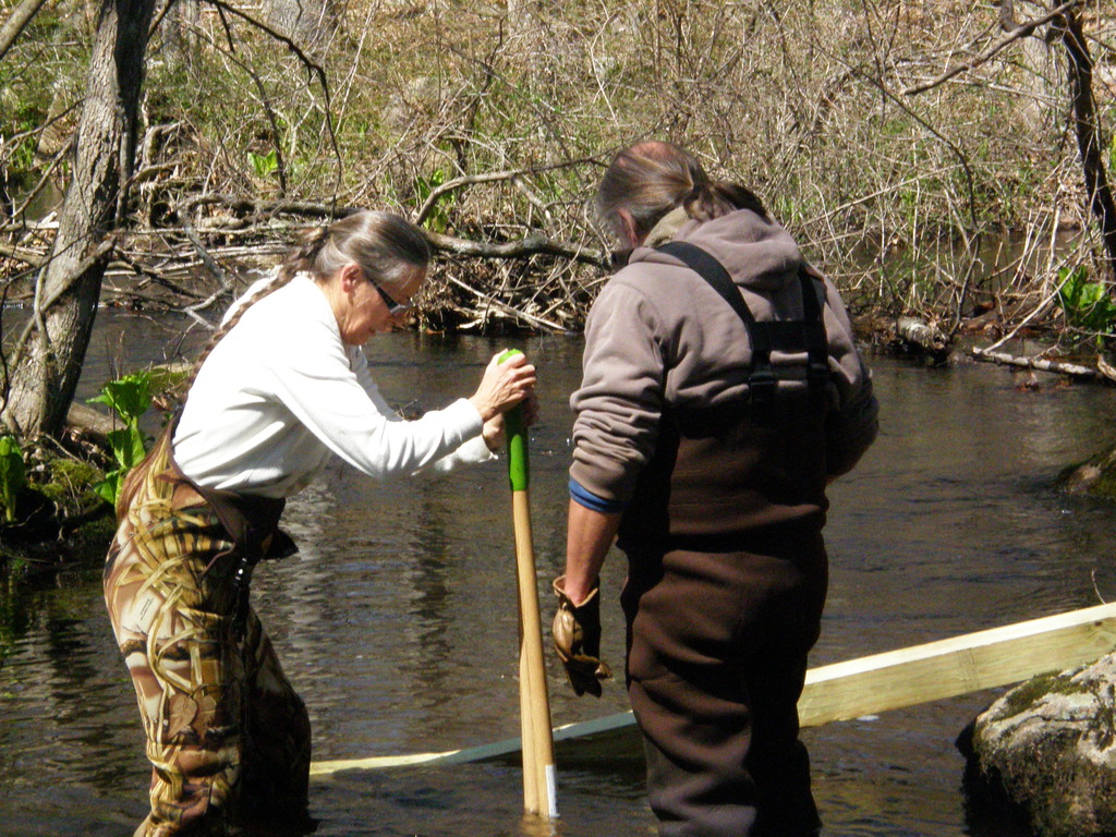 No description provided for: /2014/0417-duck-box-posts/photo04.html