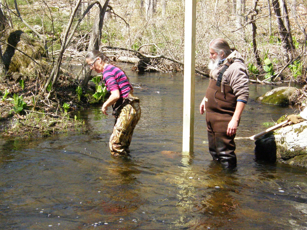 No description provided for: /2014/0417-duck-box-posts/photo06.html