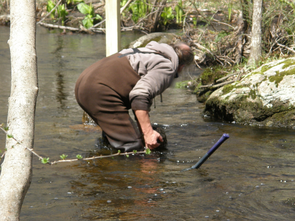 No description provided for: /2014/0417-duck-box-posts/photo09.html