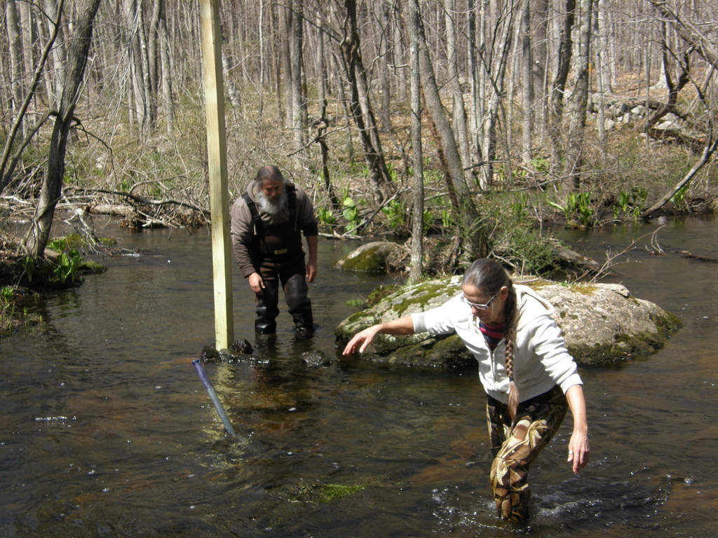 No description provided for: /2014/0417-duck-box-posts/photo12.html