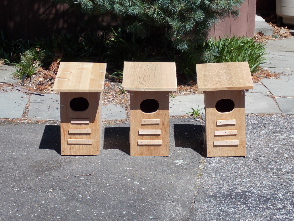 No description provided for: /2014/0419-duck-boxes/photo01.html