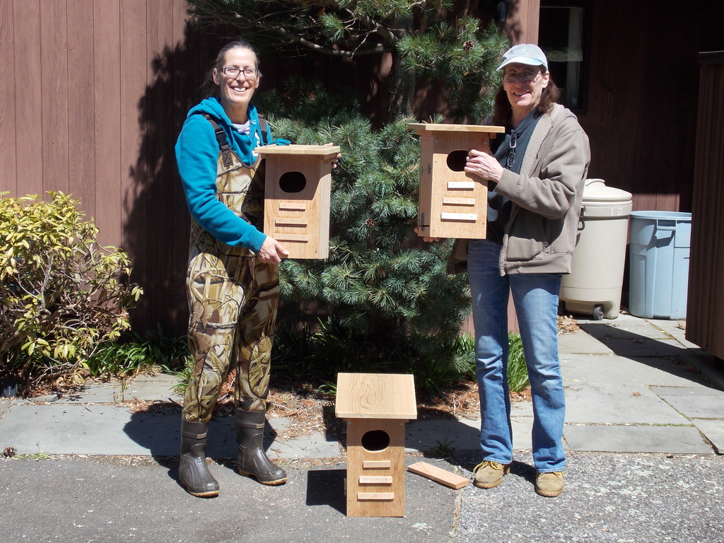 No description provided for: /2014/0419-duck-boxes/photo02.html