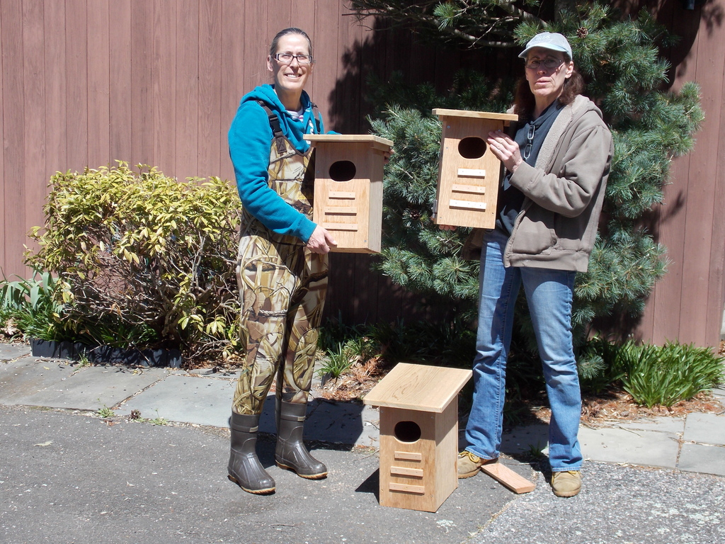 No description provided for: /2014/0419-duck-boxes/photo03.html