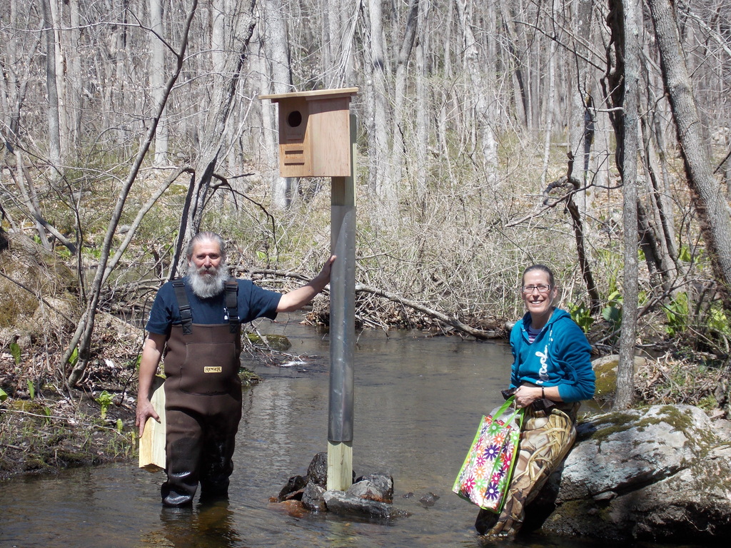 No description provided for: /2014/0419-duck-boxes/photo04.html