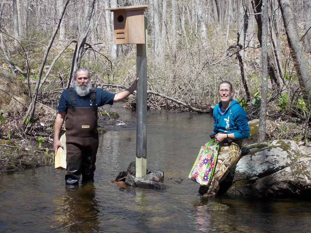 No description provided for: /2014/0419-duck-boxes/photo06.html